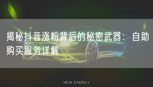 揭秘抖音涨粉背后的秘密武器:自助购买服务详解