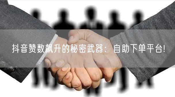 抖音赞数飙升的秘密武器:自助下单平台!