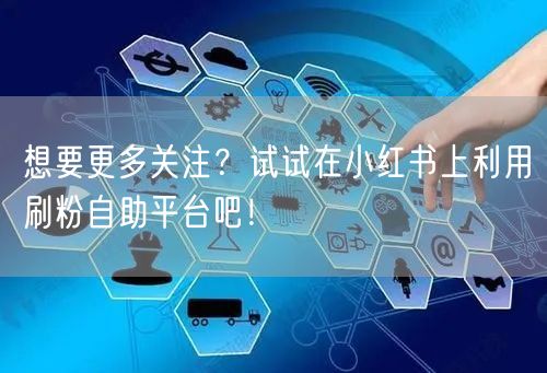 想要更多关注?试试在小红书上利用刷粉自助平台吧!