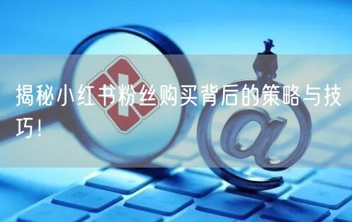 揭秘小红书粉丝购买背后的策略与技巧！