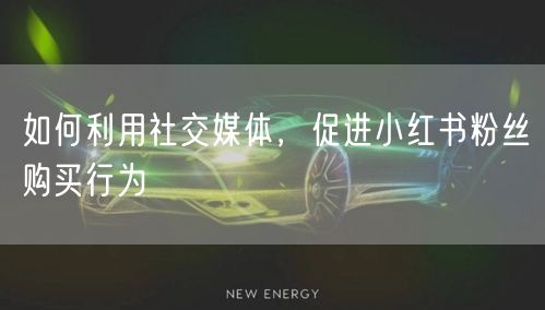 如何利用社交媒体,促进小红书粉丝购买行为