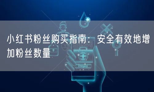 小红书粉丝购买指南:安全有效地增加粉丝数量