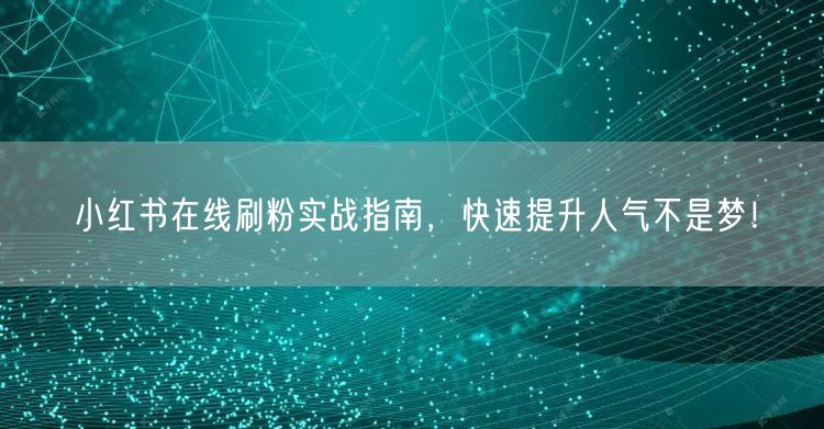 小红书在线刷粉实战指南,快速提升人气不是梦!