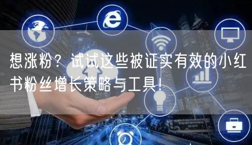 想涨粉?试试这些被证实有效的小红书粉丝增长策略与工具!