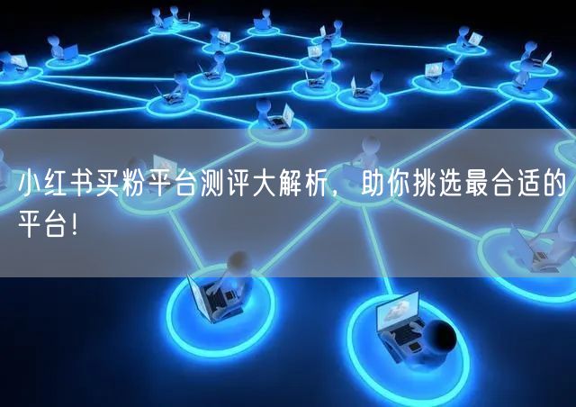 小红书买粉平台测评大解析,助你挑选最合适的平台!