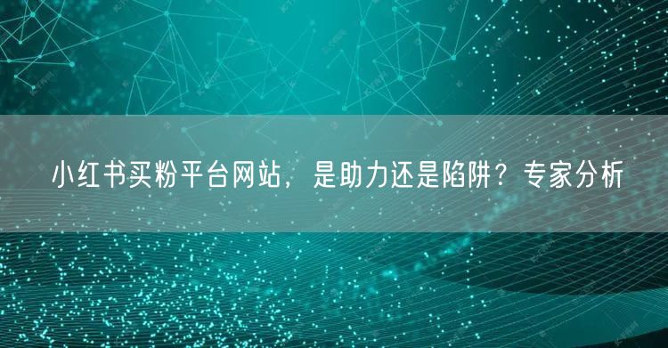 小红书买粉平台网站,是助力还是陷阱?专家分析