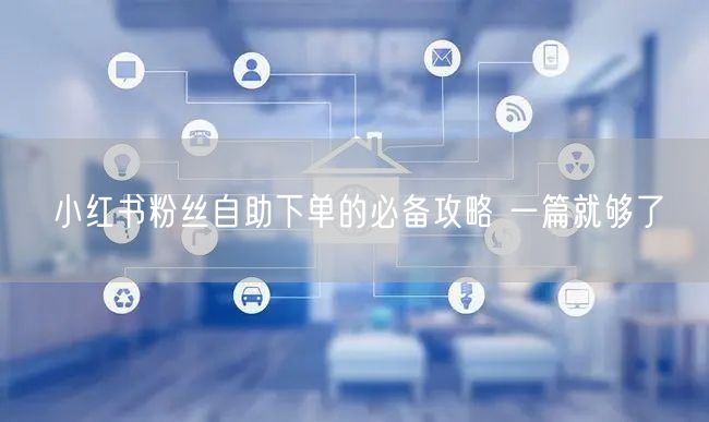 小红书粉丝自助下单的必备攻略 一篇就够了